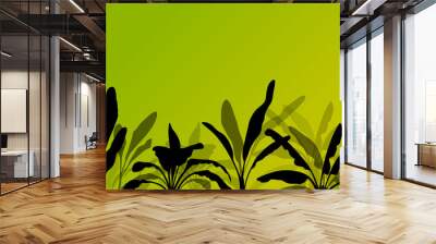 exotic banana tree plants plantation detailed silhouette landsca Wall mural