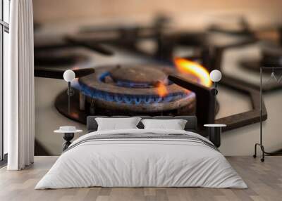 Close up shot of blue fire from domestic kitchen stove top. Gas cooker with burning flames of propane gas. Wall mural