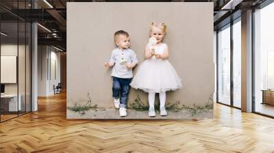 Stylish little boy and girl on a gray background with candy meringues in their hands Wall mural