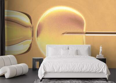 In vitro fecundation using sperm (warm color) Wall mural