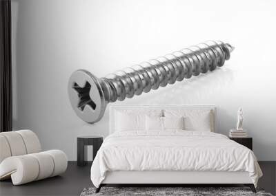 screw isolated on white background Wall mural