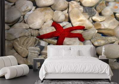 Red beautiful starfish on stones under the water Wall mural