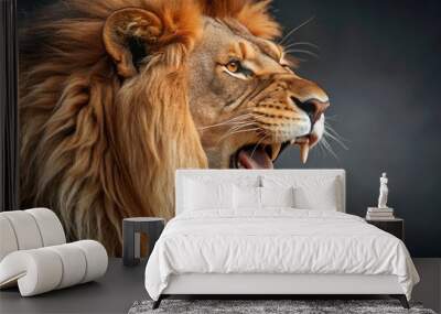 portrait of a lion Wall mural