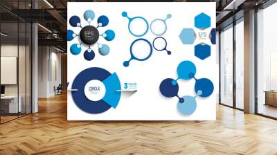 circle infographic template. round net diagram, graph, presentation, chart. connected concept with 8 Wall mural