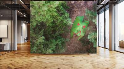 Aerial tent in the forest. Camping background concept. Active lifestyle Wall mural