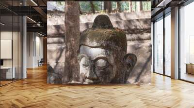 Buddha statue's head at Wat Umong Wall mural