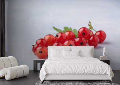 fresh sweet red currant on  blue background pure copy spase Wall mural