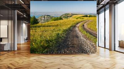 Landscape with a road in a field in the mountains with wildflowers and grass and a river in the background on a summer sunny day. Wall mural