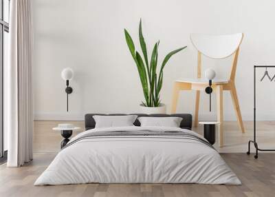 White wooden chair and houseplant in a pot on a beige oak floor and gray wall to decorate the background of the room. Empty space layout concept in apartment. Wall mural