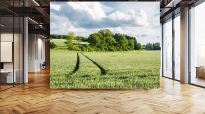 In the fields grows the crop and beautiful wildflowers in a rural landscape. Wall mural