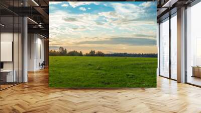 Landscape panorama. Sky with clouds. Green meadow. Gorgeous rural scene. Large open space. Wall mural