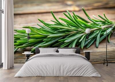 Fresh rosemary herb sprig, aromatic green cooking ingredient from organic garden Wall mural