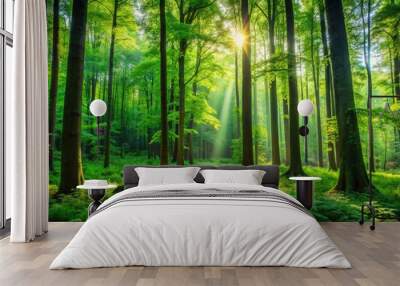 Lush green forest with tall trees, vibrant foliage, and peaceful atmosphere Wall mural