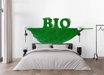 BIO leaf with Leaf-eating worm. Green natural clean energy for save the earth and environment green natural ecology. Wall mural