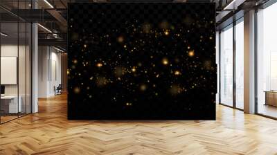 light effect. Background of sparkling particles. Shiny elements on a transparent background.Christmas dust. Wall mural