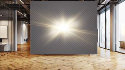 Vector transparent sunlight special lens flare light effect. Wall mural