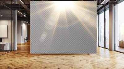 	
Vector transparent sunlight special lens flare light effect	 Wall mural