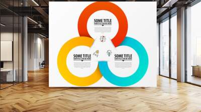 Circle infographics. Template for diagram. Vector illustration Wall mural