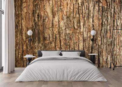 Bark pattern is seamless texture from tree. For background work Wall mural