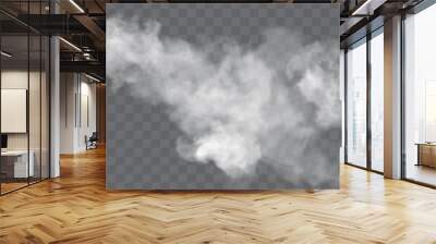 Transparent special effect stands out with fog or smoke. White cloud vector, fog or smog. Wall mural