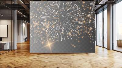 Vector Brightly Colorful Fireworks on the background of the night sky. Wall mural