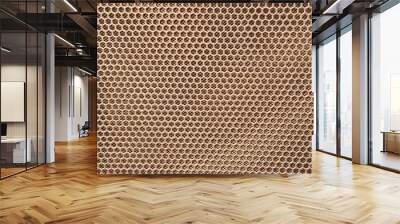 The metal grille surface of the hexagonal honeycomb speaker Wall mural