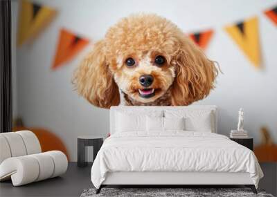 A poodle dressed in glamorous vampire outfit with fangs, exuding charm and playfulness, stands against festive backdrop of pumpkins and Halloween decorations Wall mural