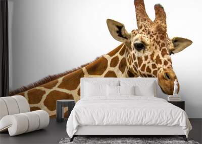 Close up shot of giraffe head isolate on white Wall mural