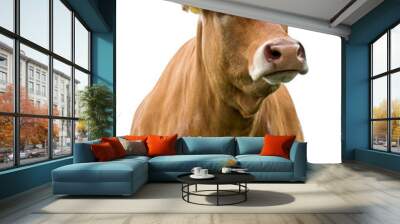 cow on a white background isolated Wall mural