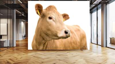 Cow Portrait Isolated on White Background Wall mural