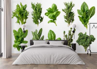 A variety of fresh herbs like basil, rosemary leaves, on a white background. A collection or selection of various green leafy plants for cooking and herbal medicine use. Top-down, flat-lay. Wall mural