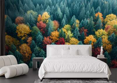 Aerial view of a colorful autumn forest with green pine trees, in a nature landscape background: a beautiful multicolored forest with red, orange, yellow and blue trees in the woods during fall season Wall mural