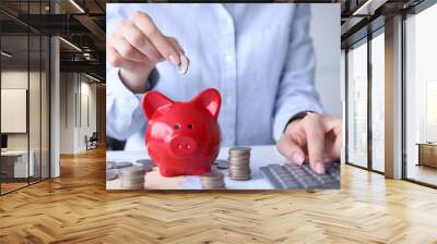 Woman counting on calculator and putting coin in piggy bank closeup Wall mural