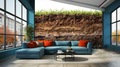 Underground soil layer of cross-section earth with grass on the top with white background. Wall mural