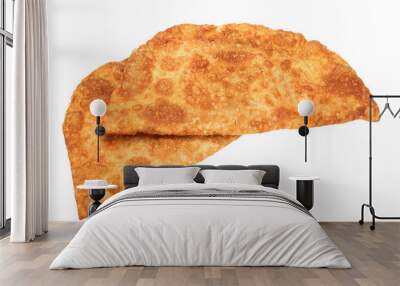 fried pie, cheburek with meat, isolated background on a white background Wall mural