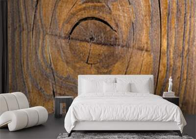 high detailed background texture of the board from olive pine oak birch fir tree, large wooden one two three rings, beautiful wood grain, abstract, brown white black dark yellow Wall mural