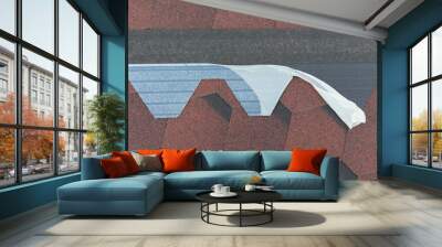 a protective layer of polyethylene on a flexible roof for laying and fixing Wall mural