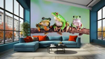 Australian white tree frog on leaves, dumpy frog on branch,  Australian white tree frog sitting on flowes Wall mural