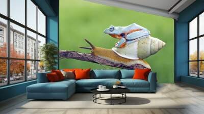 Tree frog, flying frog, javan tree frog Wall mural