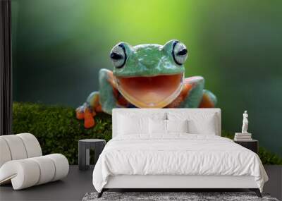 Tree frog, flying frog laughing Wall mural