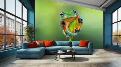 Tree frog, flying frog Wall mural