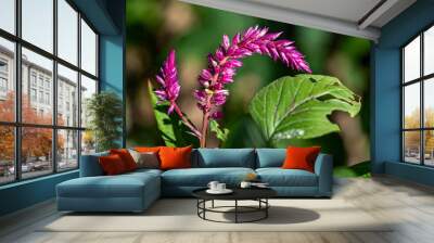 purple and white Wall mural