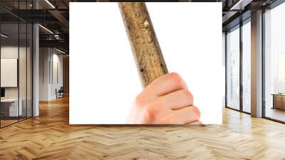 Old shabby working hammer on the wooden handle in woman hand Wall mural