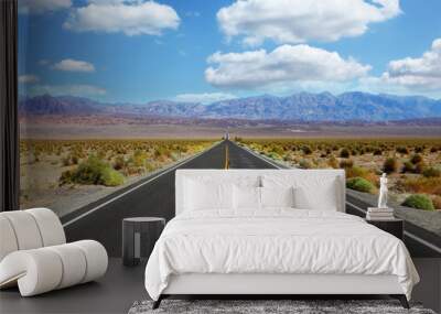 American road Wall mural