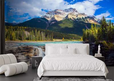 Canada. Athabasca Falls Wall mural