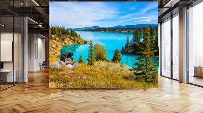 Gorgeous bear resting by the lake Wall mural