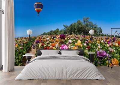 Multicolor balloon flies over the field. Wall mural