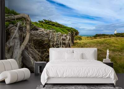 Waipapa Point -  strong ocean wind Wall mural