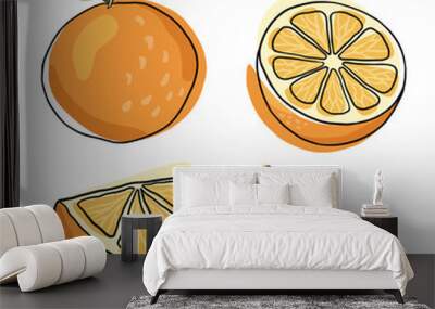 Orange drawing. Citrus drawing. Orange fruit hand drawn. Citrus doodle Wall mural