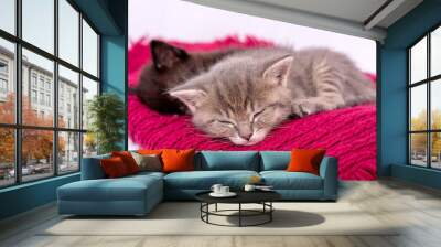 Two kittens sleep on red scarf isolated on white Wall mural